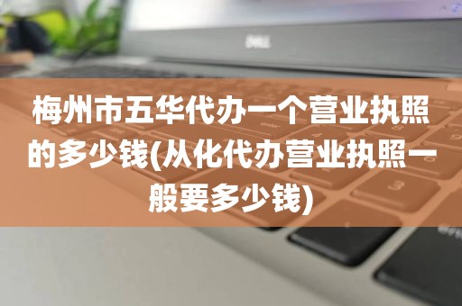 梅州市五华代办一个营业执照的多少钱(从化代办营业执照一般要多少钱)