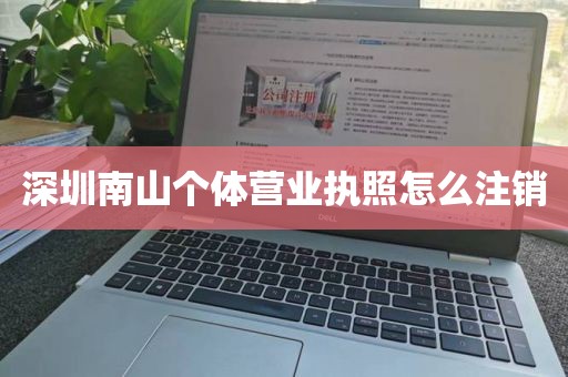 深圳南山个体营业执照怎么注销