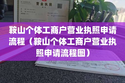 鞍山个体工商户营业执照申请流程（鞍山个体工商户营业执照申请流程图）