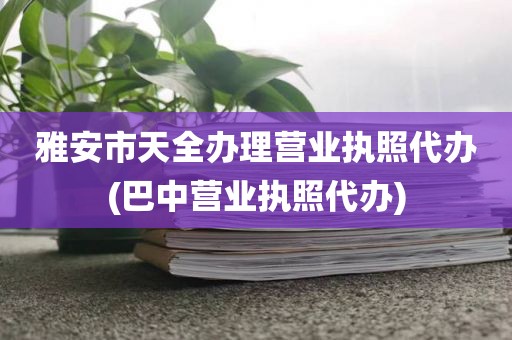 雅安市天全办理营业执照代办(巴中营业执照代办)