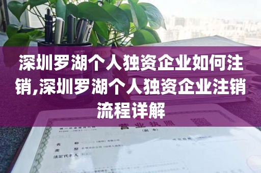 深圳罗湖个人独资企业如何注销,深圳罗湖个人独资企业注销流程详解
