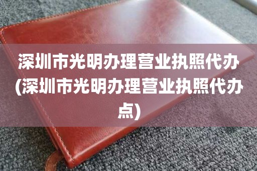 深圳市光明办理营业执照代办(深圳市光明办理营业执照代办点)