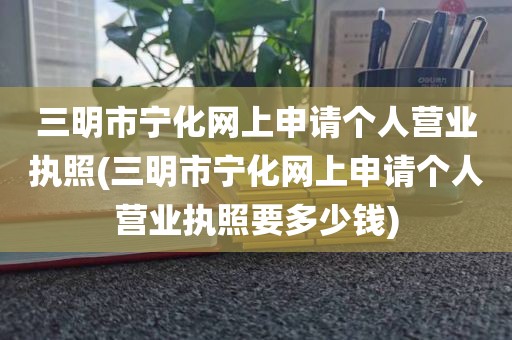 三明市宁化网上申请个人营业执照(三明市宁化网上申请个人营业执照要多少钱)