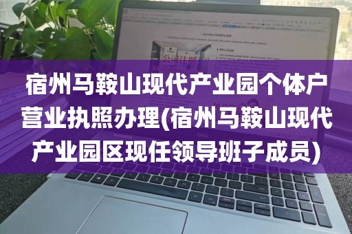 宿州马鞍山现代产业园个体户营业执照办理(宿州马鞍山现代产业园区现任领导班子成员)