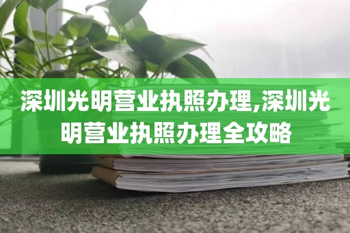 深圳光明营业执照办理,深圳光明营业执照办理全攻略
