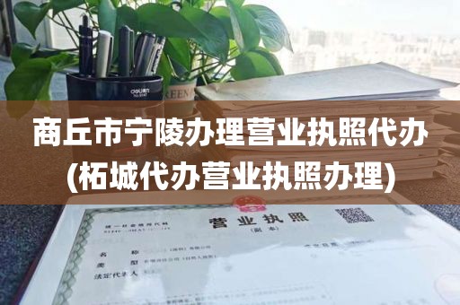 商丘市宁陵办理营业执照代办(柘城代办营业执照办理)
