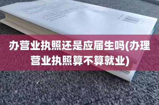 办营业执照还是应届生吗(办理营业执照算不算就业)