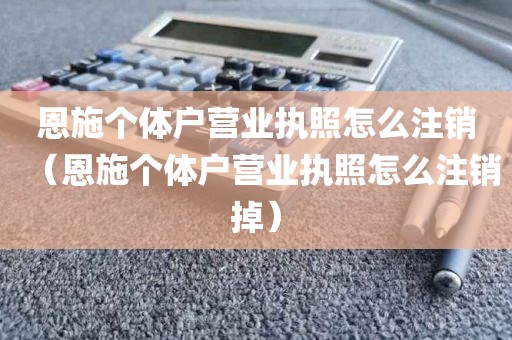 恩施个体户营业执照怎么注销（恩施个体户营业执照怎么注销掉）