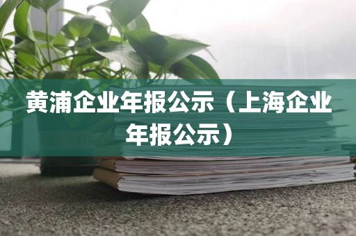 黄浦企业年报公示（上海企业年报公示）