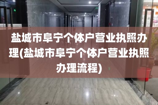 盐城市阜宁个体户营业执照办理(盐城市阜宁个体户营业执照办理流程)