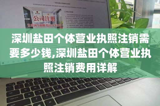 深圳盐田个体营业执照注销需要多少钱,深圳盐田个体营业执照注销费用详解