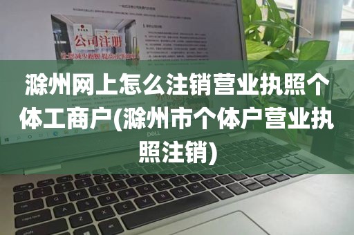 滁州网上怎么注销营业执照个体工商户(滁州市个体户营业执照注销)