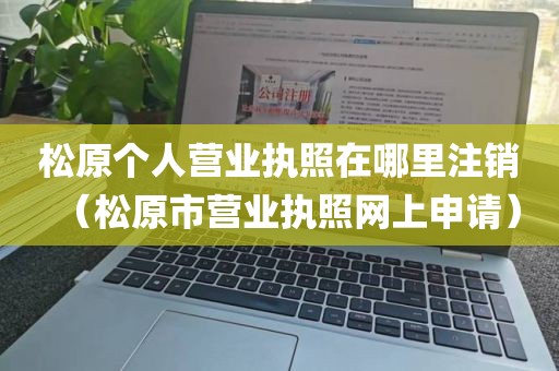 松原个人营业执照在哪里注销（松原市营业执照网上申请）