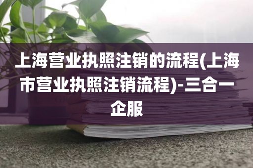 上海营业执照注销的流程(上海市营业执照注销流程)-三合一企服