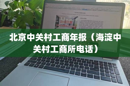 北京中关村工商年报（海淀中关村工商所电话）