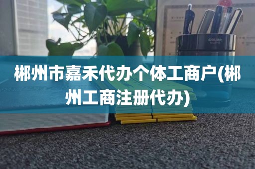 郴州市嘉禾代办个体工商户(郴州工商注册代办)