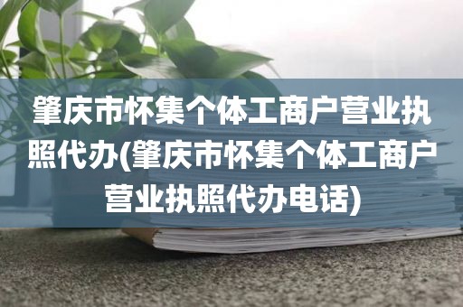 肇庆市怀集个体工商户营业执照代办(肇庆市怀集个体工商户营业执照代办电话)