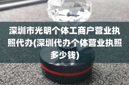 深圳市光明个体工商户营业执照代办(深圳代办个体营业执照多少钱)