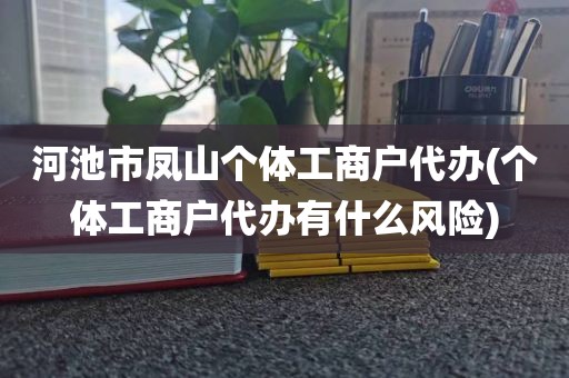 河池市凤山个体工商户代办(个体工商户代办有什么风险)