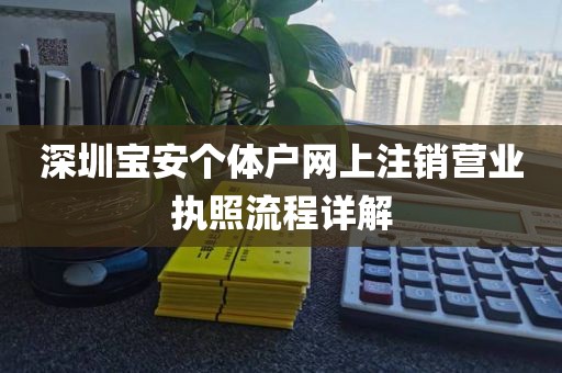 深圳宝安个体户网上注销营业执照流程详解