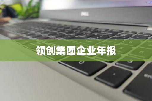 领创集团企业年报