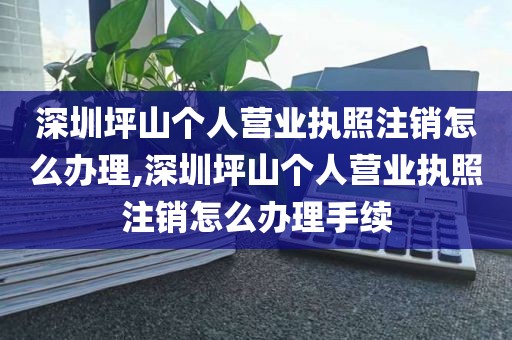 深圳坪山个人营业执照注销怎么办理,深圳坪山个人营业执照注销怎么办理手续