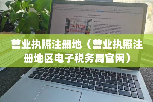 营业执照注册地(营业执照注册地区电子税务局官网)