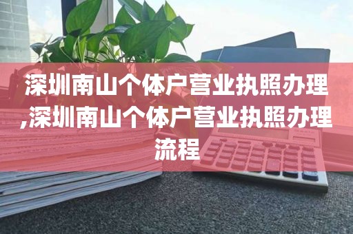 深圳南山个体户营业执照办理,深圳南山个体户营业执照办理流程