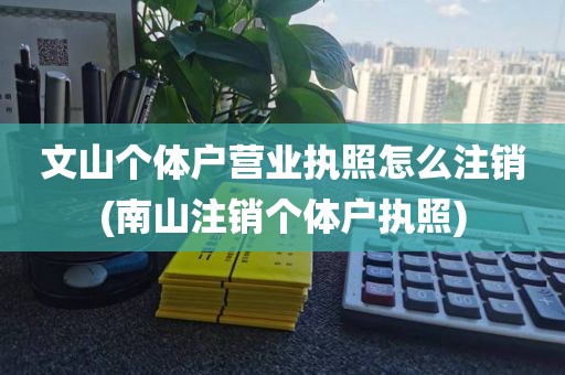 文山个体户营业执照怎么注销(南山注销个体户执照)
