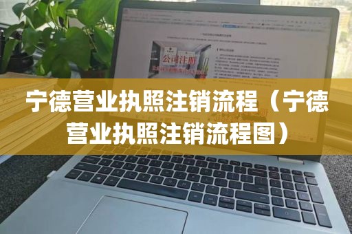 宁德营业执照注销流程（宁德营业执照注销流程图）