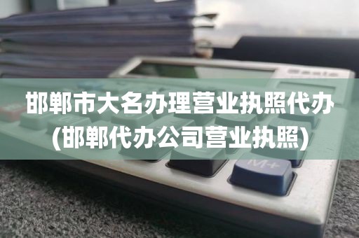 邯郸市大名办理营业执照代办(邯郸代办公司营业执照)