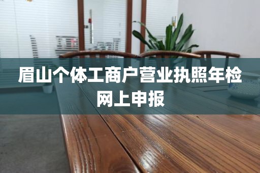 眉山个体工商户营业执照年检网上申报