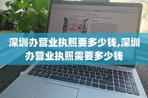深圳办营业执照要多少钱,深圳办营业执照需要多少钱