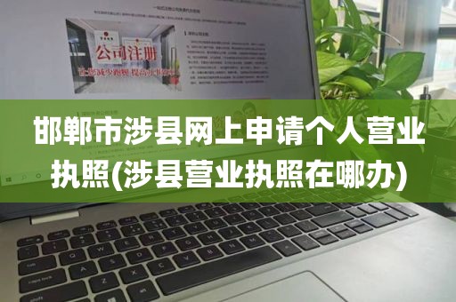邯郸市涉县网上申请个人营业执照(涉县营业执照在哪办)
