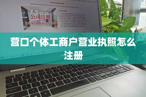 营口个体工商户营业执照怎么注册