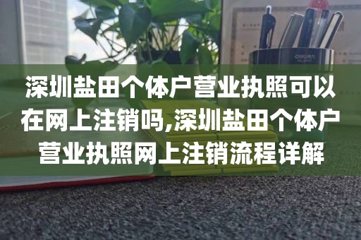 深圳盐田个体户营业执照可以在网上注销吗,深圳盐田个体户营业执照网上注销流程详解