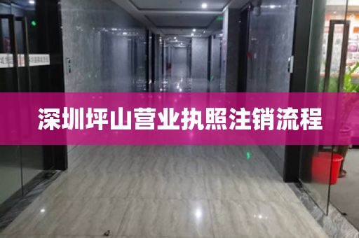 深圳坪山营业执照注销流程