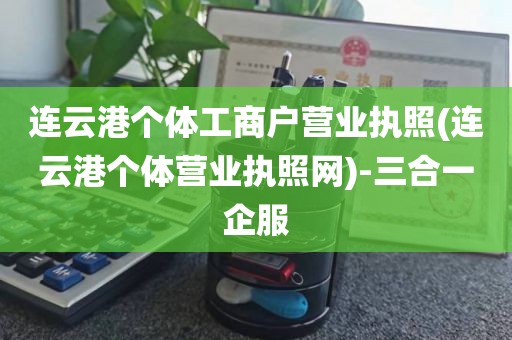 连云港个体工商户营业执照(连云港个体营业执照网)-三合一企服