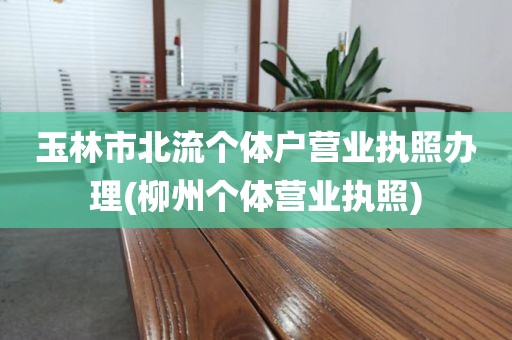 玉林市北流个体户营业执照办理(柳州个体营业执照)