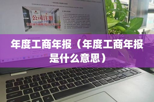 年度工商年报（年度工商年报是什么意思）