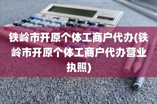 铁岭市开原个体工商户代办(铁岭市开原个体工商户代办营业执照)