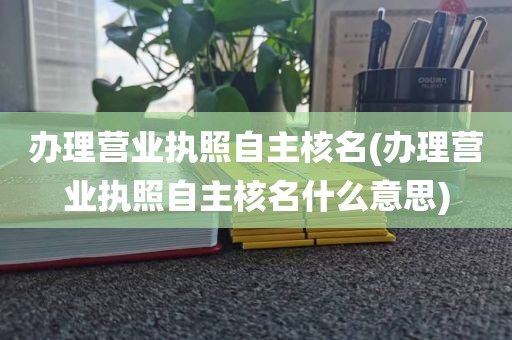 办理营业执照自主核名(办理营业执照自主核名什么意思)