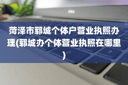 菏泽市郓城个体户营业执照办理(郓城办个体营业执照在哪里)