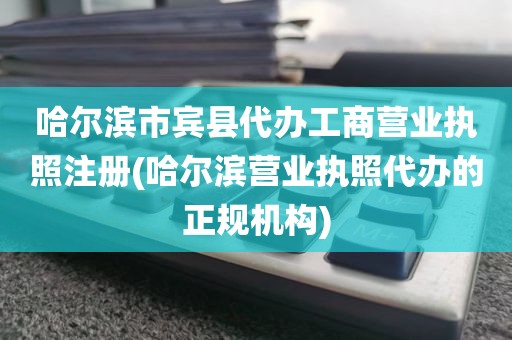 哈尔滨市宾县代办工商营业执照注册(哈尔滨营业执照代办的正规机构)