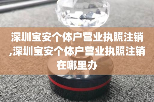 深圳宝安个体户营业执照注销,深圳宝安个体户营业执照注销在哪里办