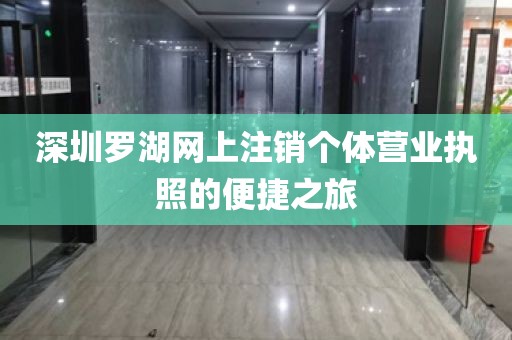 深圳罗湖网上注销个体营业执照的便捷之旅