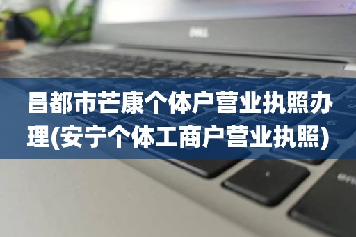 昌都市芒康个体户营业执照办理(安宁个体工商户营业执照)