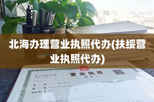 北海办理营业执照代办(扶绥营业执照代办)