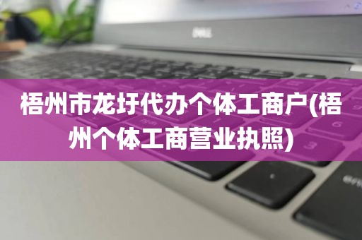 梧州市龙圩代办个体工商户(梧州个体工商营业执照)