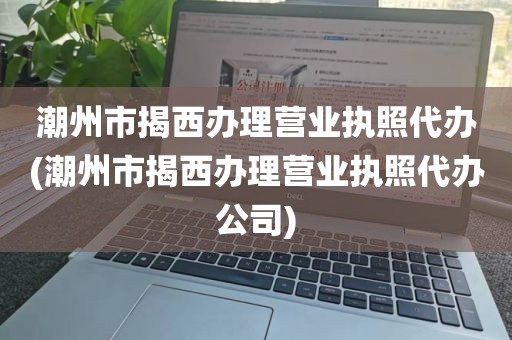潮州市揭西办理营业执照代办(潮州市揭西办理营业执照代办公司)